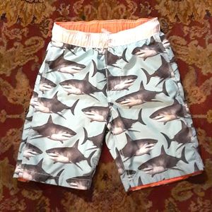 GAP Boy's Swim Trunks, XL/12